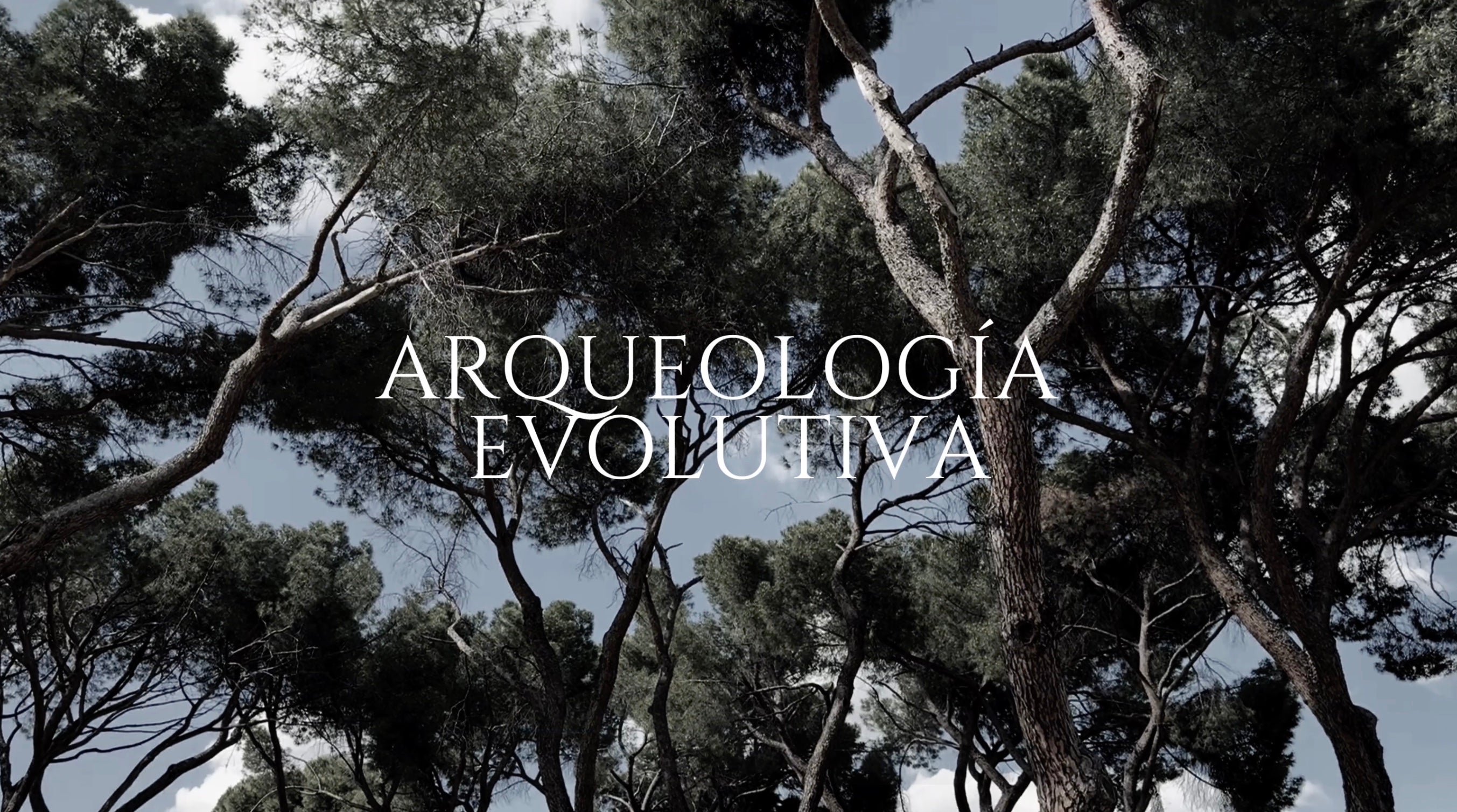 Load video: En este cortometraje, Arqueología Evolutiva se desplaza del espacio expositivo al paisaje natural, extendiendo su potencia simbólica en un nuevo territorio físico y emocional.Durante dos minutos el artista, Carlo Pitter, camina cuesta arriba por el campo, entre espigas y hierbas altas. A lo largo del trayecto, emergen las ocho piedras de la instalación original: formaciones híbridas de tierra, arena, conchas, objetos personales y escayola, que simbolizan ocho años de proceso terapéutico y transformación interior.La caminata es simple pero cargada de sentido: ascender el campo es ascender la memoria. El entorno bucólico, casi sereno, oculta la dificultad del pasado. Es en ese contraste donde la obra cobra vida: el dolor no siempre deja cicatrices visibles; a veces florece como hierba alta, como silencio.Cada piedra aparece en planos específicos, como si fueran vestigios que afloran de la tierra: fósiles emocionales que el cuerpo (el presente) reconoce, honra y deja atrás al avanzar.El video no narra, sino que evoca. No dramatiza, sino que sostiene una presencia ritual, donde caminar se convierte en gesto performativo, y donde el paisaje se transforma en un espacio arqueológico del alma.Arqueología Evolutiva – el cortometraje es una meditación visual sobre la sanación, la memoria y la dignidad del cuerpo como archivo. Un recorrido lento, íntimo y simbólico hacia lo alto, donde el dolor ha sido mirado, expuesto y transformado en forma.